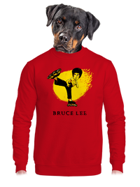 unisex mikina bez kapucne