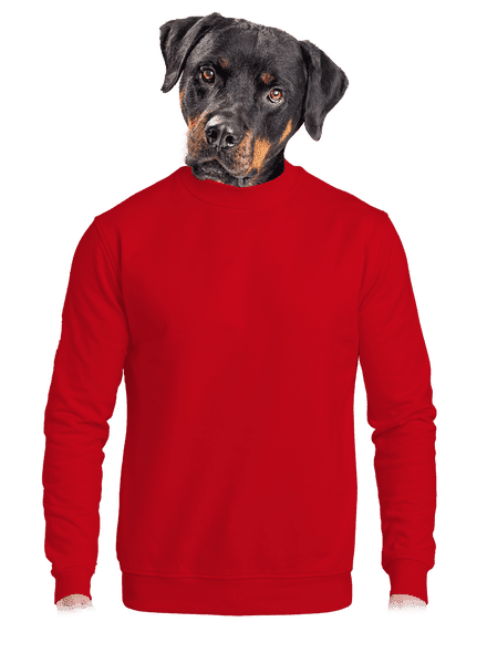 Bez potlače unisex mikina bez kapucne Red