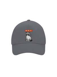 šiltovka baseballka