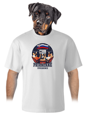 Prikázané uvoľnenie unisex tričko oversized White