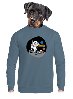 Máme problém unisex mikina bez kapucne Nordic Blue