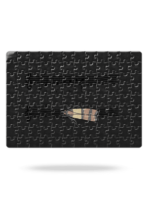 A - moll puzzle White