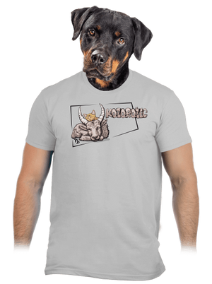 Mačací horoskop: Kozorožec pánske tričko Pacific Grey