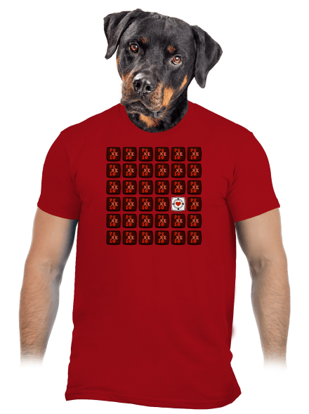 Pexeso pánske tričko Red
