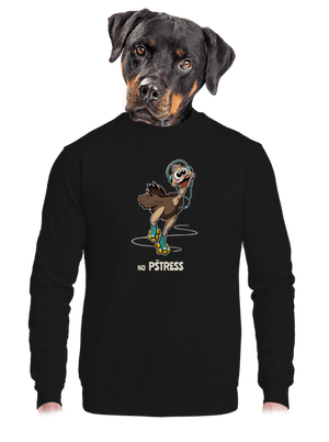 No pštress unisex mikina bez kapucne Black