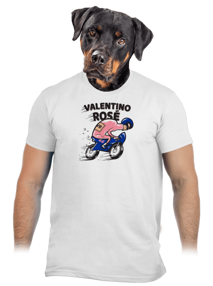 Valentino Rosé pánske tričko White