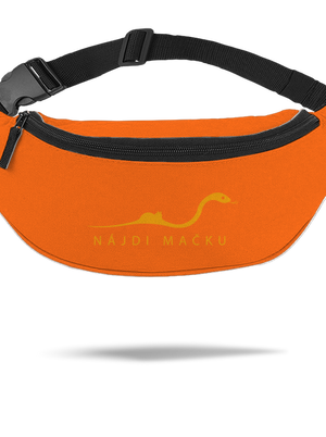 Nájdi mačku ľadvinka Orange