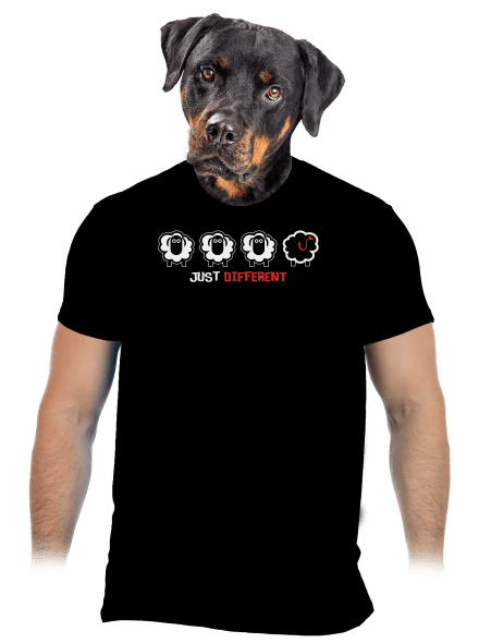 Čierna ovca pánske tričko Black