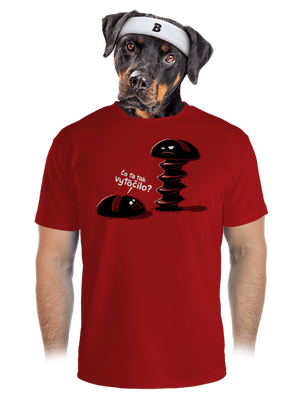 pánske športové tričko