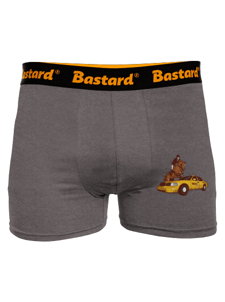 Taxis boxerky Gray Melange