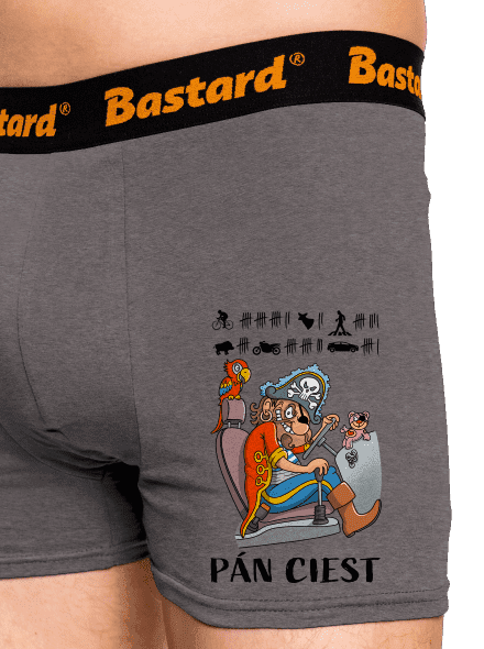 Pán ciest boxerky Gray Melange