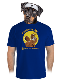 pánske športové tričko