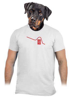 pánske tričko