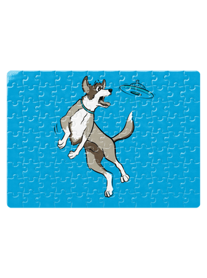 Lietajúci tanier puzzle White