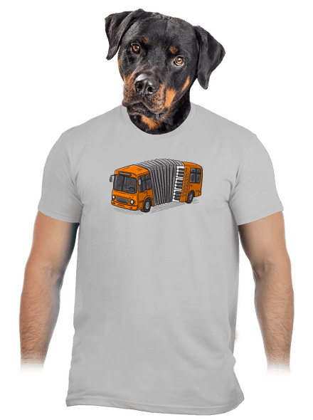 Harmonika pánske tričko Pacific Grey