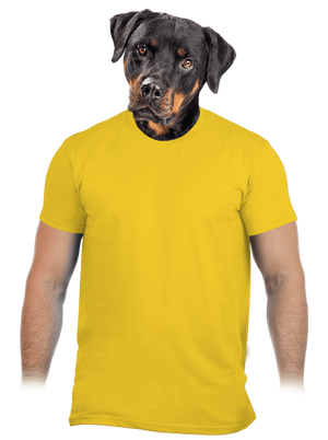 Bez potlače pánske tričko Gold