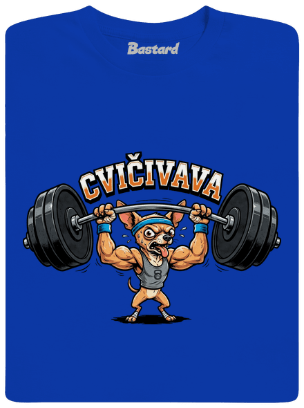 Cvičivava pánske dlhý rukáv Royal Blue