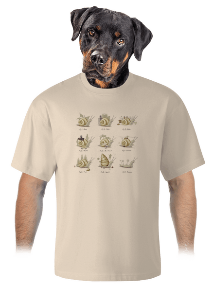 Sladký domov unisex tričko oversized Almond