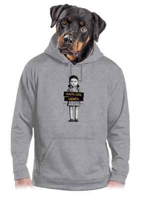 Cukor, káva, limonáda pánska mikina klokanka Light Melange