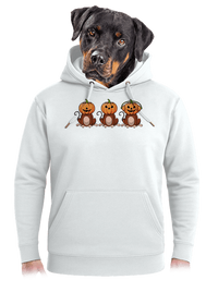 unisex mikina premium