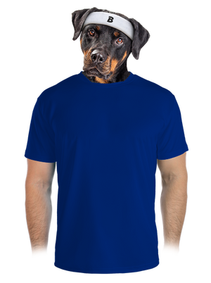 Bez potlače pánske športové tričko Royal Blue Mal