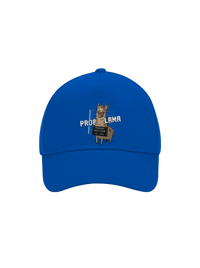 šiltovka baseballka