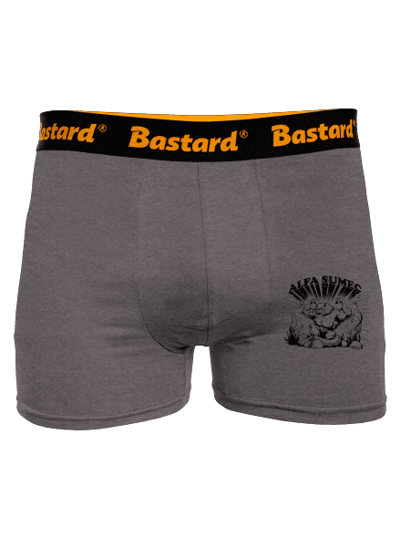 Alfasumec boxerky Gray Melange