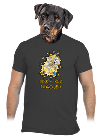 pánske tričko