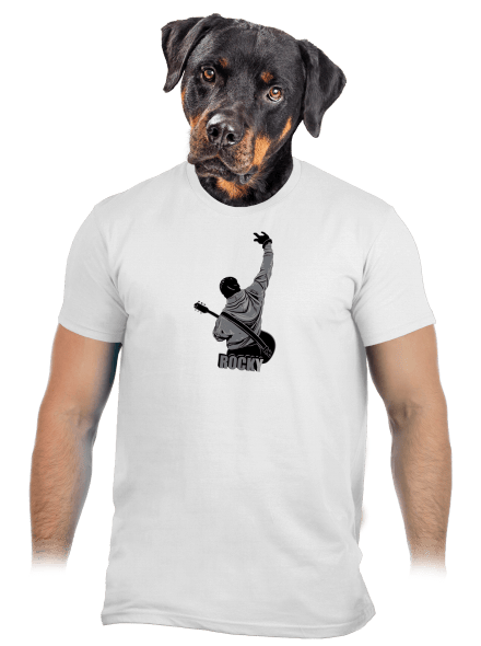 Rocky pánske tričko White