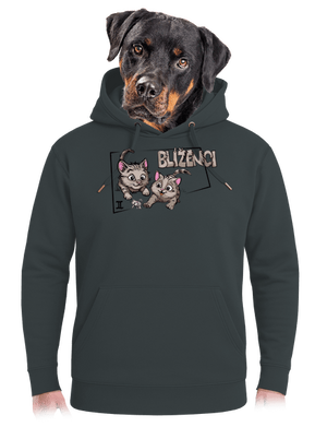 Mačací horoskop: Blíženci unisex mikina premium Charcoal